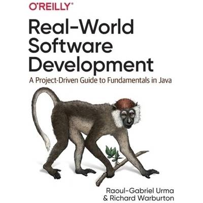 Real-World Software Development