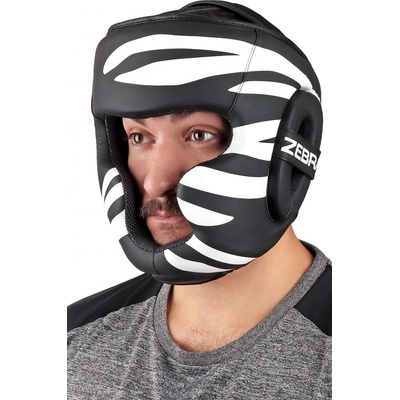 Zebra sparring
