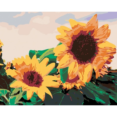 zuty Malování podle čísel Slunečnice I. 100 x 80 cm vypnuté plátno na rám