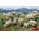 MiniArt Sheep 1/35