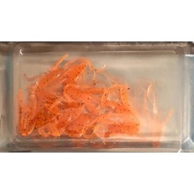 SharpFishes Nymfa oranžová s flitry 4 cm 0,9 g Krab 10 ks