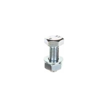 Baks Screw (set) type SM M10X30 650843 /100pcs. /