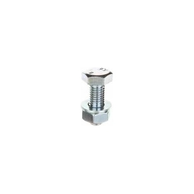 Baks Screw (set) type SM M10X30 650843 /100pcs. /