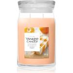 Yankee Candle Tangerine & Vanilla ароматна свещ 567 гр