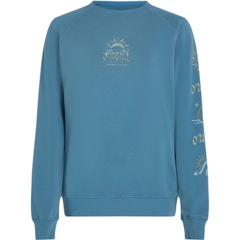 O'Neill Beach vintage s