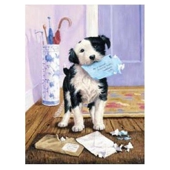 Malování podle čísel Pejsek s dopisem