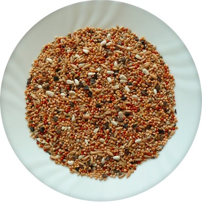 Avicentra Agapornis 4kg