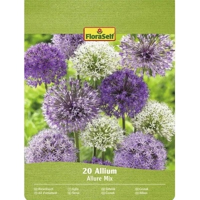 Okrasný česnek FloraSelf 'Allium Deco mix' 20 ks