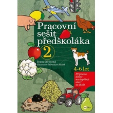 Pracovní sešit předškoláka 2, 4-6 let - Příprava dítěte na úspěšný start ve škole - Ivana Novotná