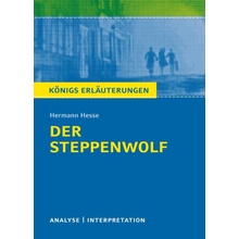 Hermann Hesse 'Der Steppenwolf'