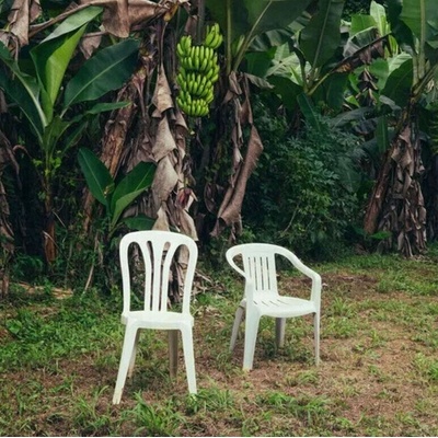 Bad Bunny - Debí Tirar Más Fotos (White Coloured) (2 LP) (0199806106600)