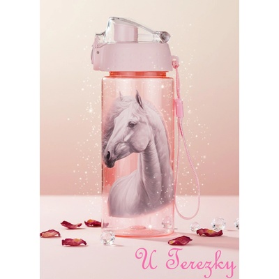 OXY CLiCK 500 ml – Zboží Dáma