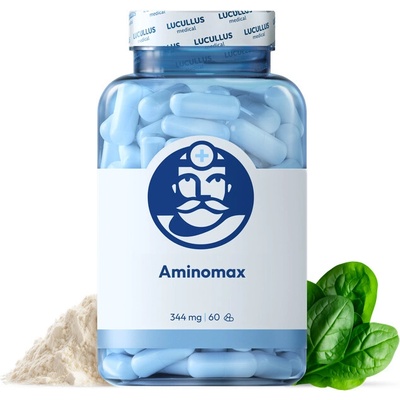 Natural SK Aminomax 60 kapsúl