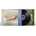 DRY CLEANING - STUMPWORK LP