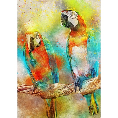 Bluebird Parrots 1000 dielov