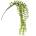 Bizzotto ИЗК. ВИСЯЩО РАСТЕНИЕ sempreverde 86cm (0171045)