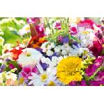DIMEX ART Флизелинов фототапет цъфтящ букет 375 x 250 см