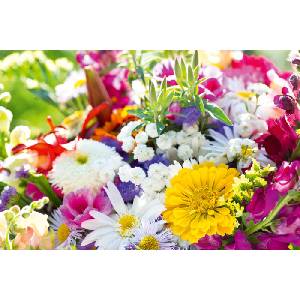 DIMEX ART Флизелинов фототапет цъфтящ букет 375 x 250 см