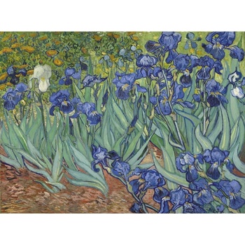 Image 1 of Grafika - Puzzle Vincent Van Gogh: Iris - 1 000 piese