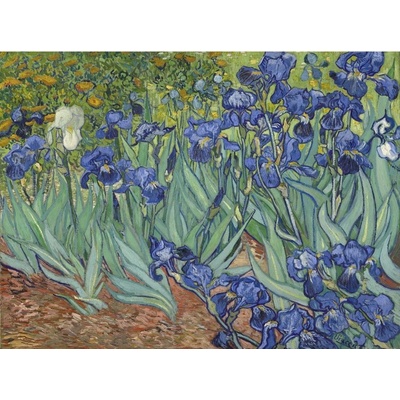 Grafika - Puzzle Vincent Van Gogh: Iris - 1 000 piese