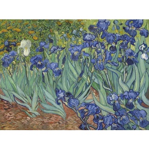 Grafika Art Puzzle - Puzzle Vincent Van Gogh: Iris - 1 000 piese