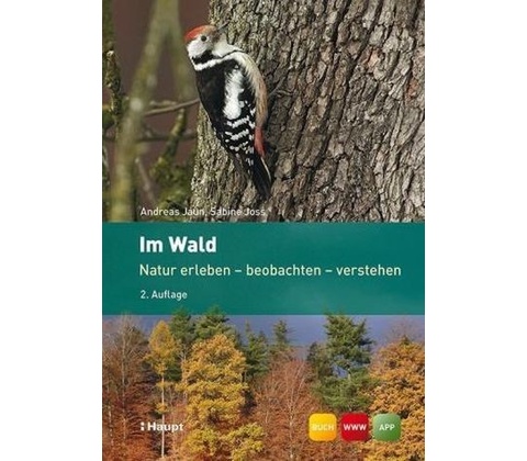Im Wald