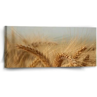 Sablio Obraz Klasy 2 - 110x50 cm