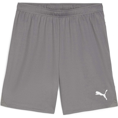 PUMA Teamgoal shorts l