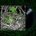 Gloomlord - Worm LP