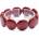 Nefertitis NF37536