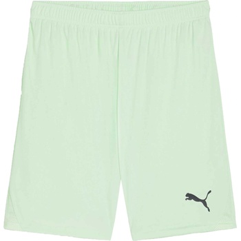 PUMA Teamgoal shorts xl