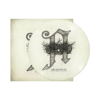 Architects - Daybreaker PIC LP