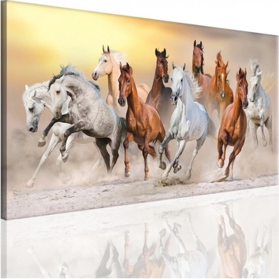 Divio Obraz na plátně koně, vzor 15091 Velikost: 40x80 cm