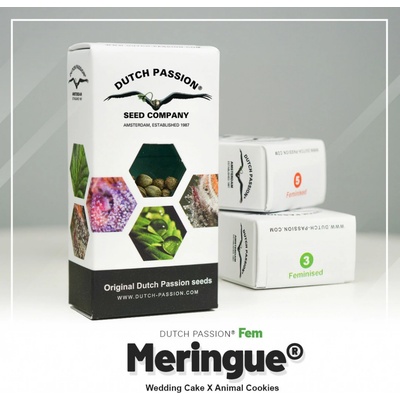 Dutch Passion Meringue semena neobsahují THC 3 ks