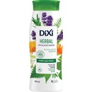 Dixi Herbal revitalizační šampon 400 ml