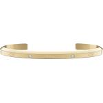 Daniel wellington dw00400529 (dw00400529)