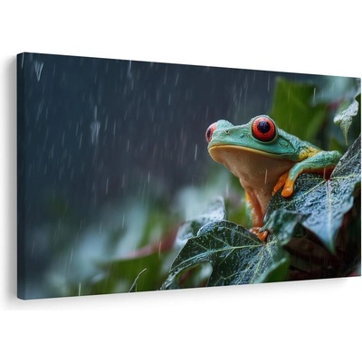 Obraz žába v dešti na listu - 60x40