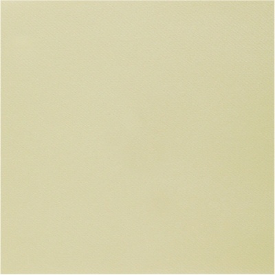 Santex servítky Rainbow šampaň 40x40cm 25ks