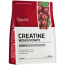 Image 1 of OstroVit Creatine Monohydrate 300 g