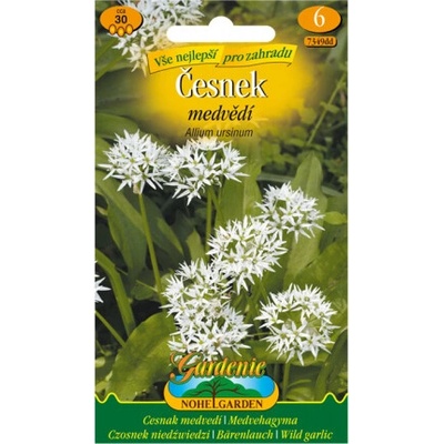 Nohel Garden Cesnak medvedí