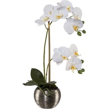 Orchidea biela v kvetináči, 42cm