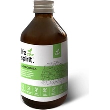 Life Spirit Tekutý extrakt s obsahom trúdnika klobučkatého 250 ml