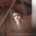 Lucy Rose - Something's Changing CD