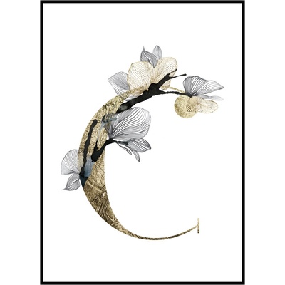 Jen tak z lásky Plakát První písmeno jména - zlatá Rozměr plakátu: 50 x 70 cm, Materiál plakátu: 200 g papír, Pozadí: Bílá, Písmeno: C