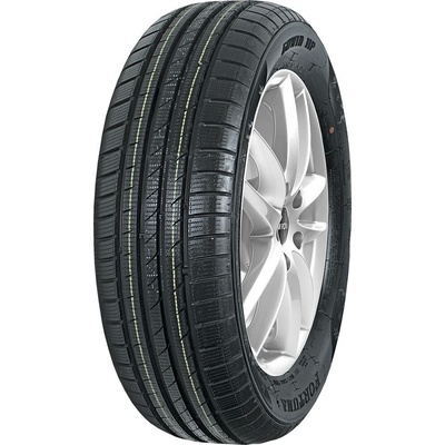 Fortuna Gowin HP 205/60 R16 96H