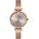 Daniel Klein DK112929-3