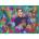 Ravensburger - Puzzle Frida Kahlo - 1 000 piese