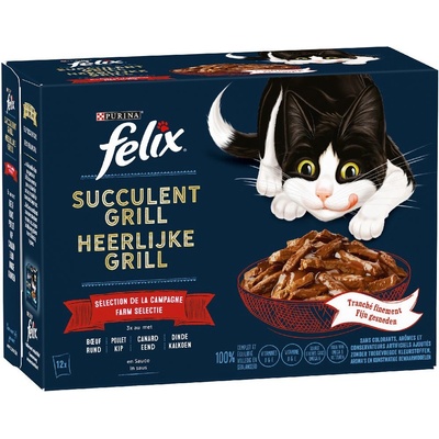 Felix Tasty Shreds lahodný výběr hovězí, kuřecí, kachní, krocaní 24 x 80 g