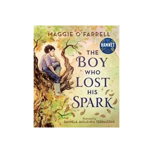 Boy Who Lost His Spark | Daniela Jaglenka Terrazzini (ISBN: 9781406392012)