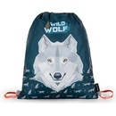 Oxybag vlk